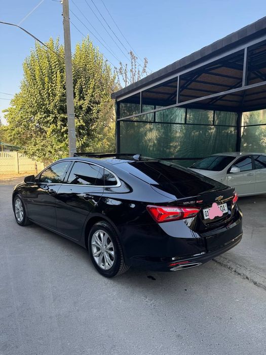 Малибу. .2022   Примэр.  Кора.