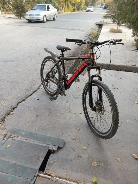 Velosiped sotladi spartivni