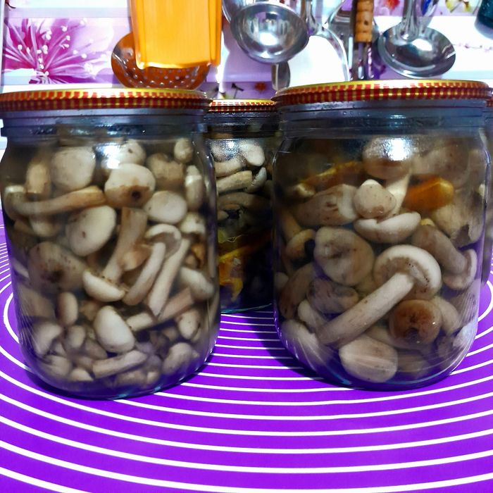 Грибы вешенки и опята маринованные. Лесные.