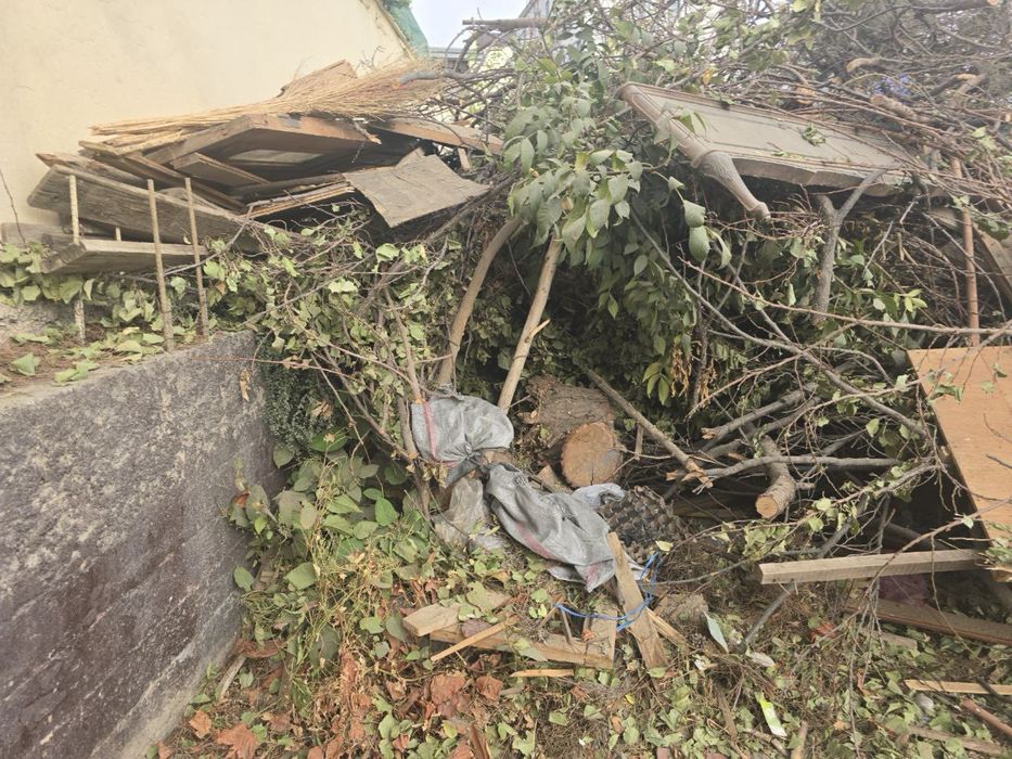 дрова и хонтахта бесплатно õtinlar tekin