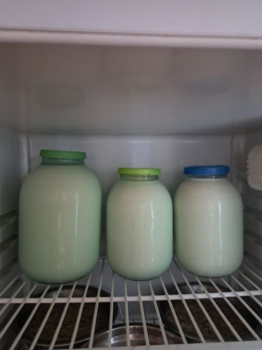 Продаю домашние,качественные, вкусные молочные продукты