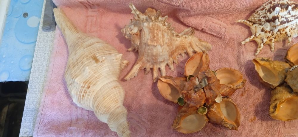 Для аквариума аксессуар смотрите фото