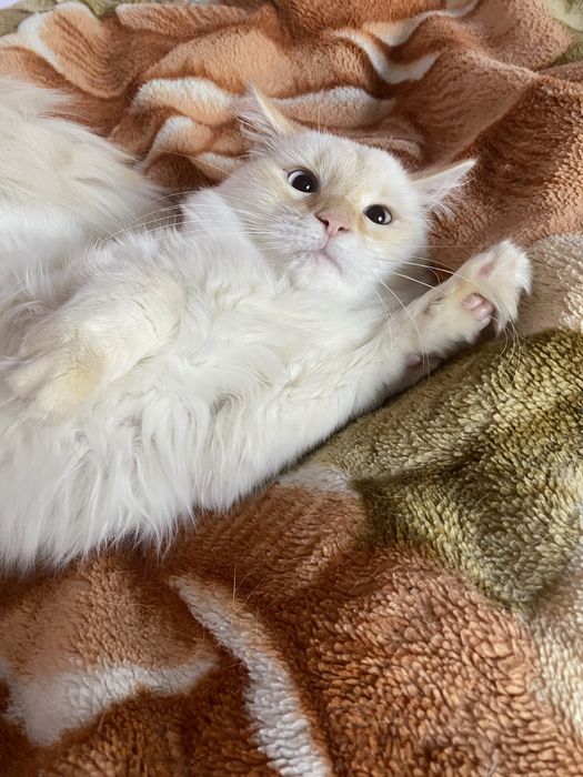 Жудаям спокойнный воспитанный