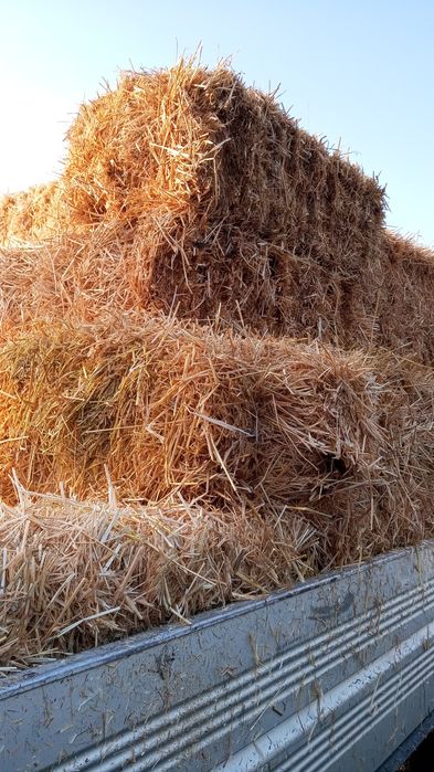 Paie baloți mici dreptunghiulari corbu cta transport ccost