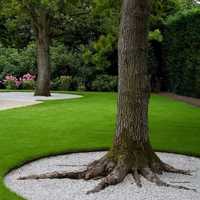 Поддържане на зелени площи, озеленяване ,оформяне на храсти и дървета
