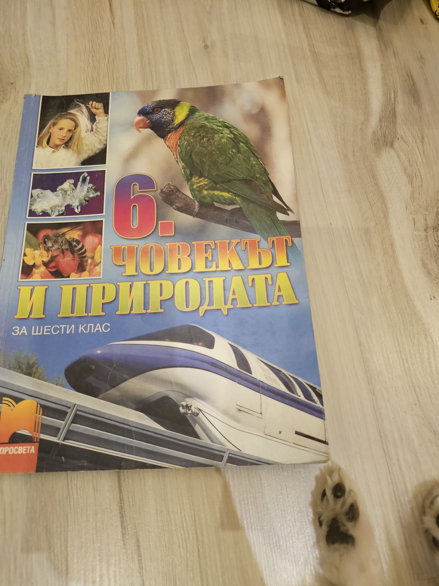 Учебници и тетрадки за 6 клас на Просвета