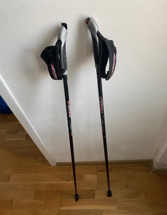 Bețe profesionale Fizan NW carbon trek/outdoor, 115cm