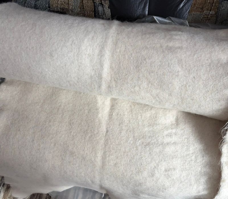 Pănură sură sau neagră