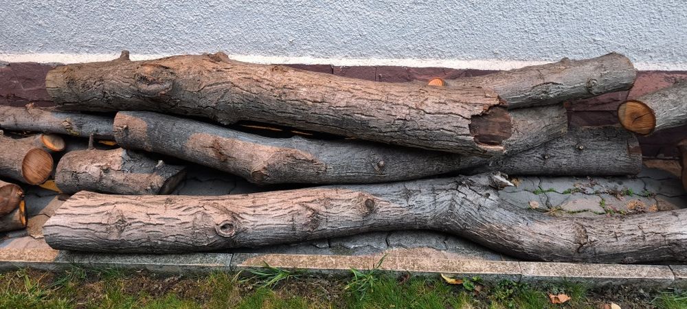 Продавам орехови трупи