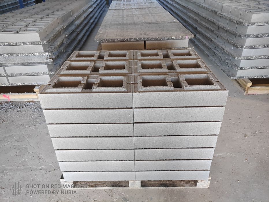 Bolțari modulo din teste