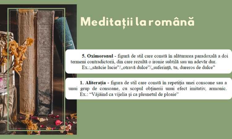 Meditații la Limba Română pentru BAC și Evaluare Națională 2025