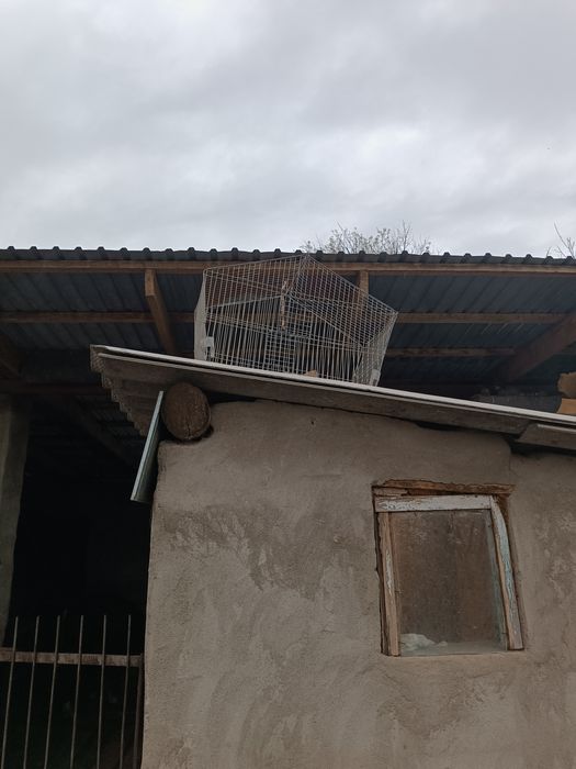 Сетка для хомяков большая и маленкая