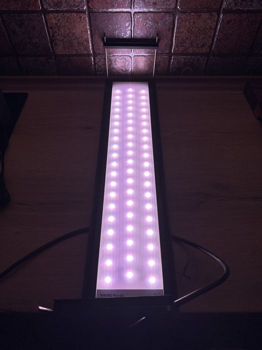Lumina acvariu apa dulce WRGB2 pro 60