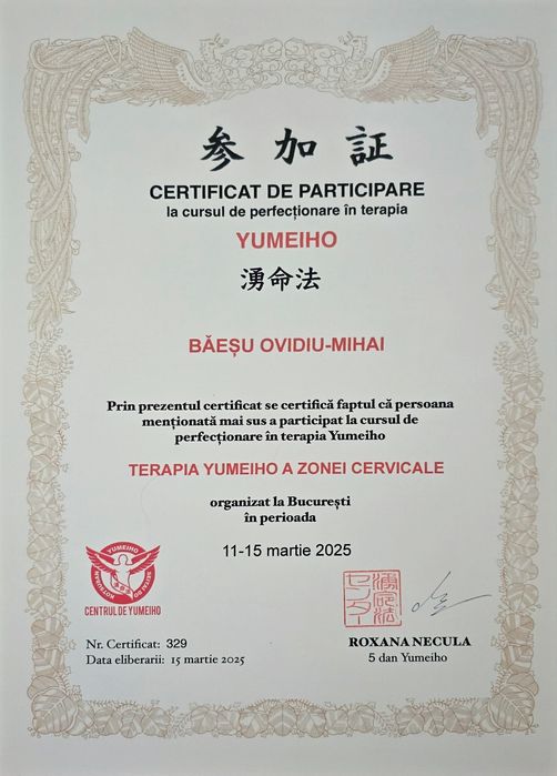 Terapie Yumeiho și Kinetoterapie