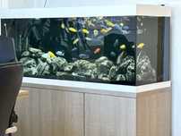 Acvariu Juwel Rio 450