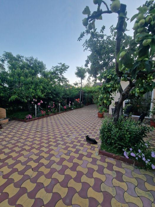 Cazare Costinesti str. Tineretului
