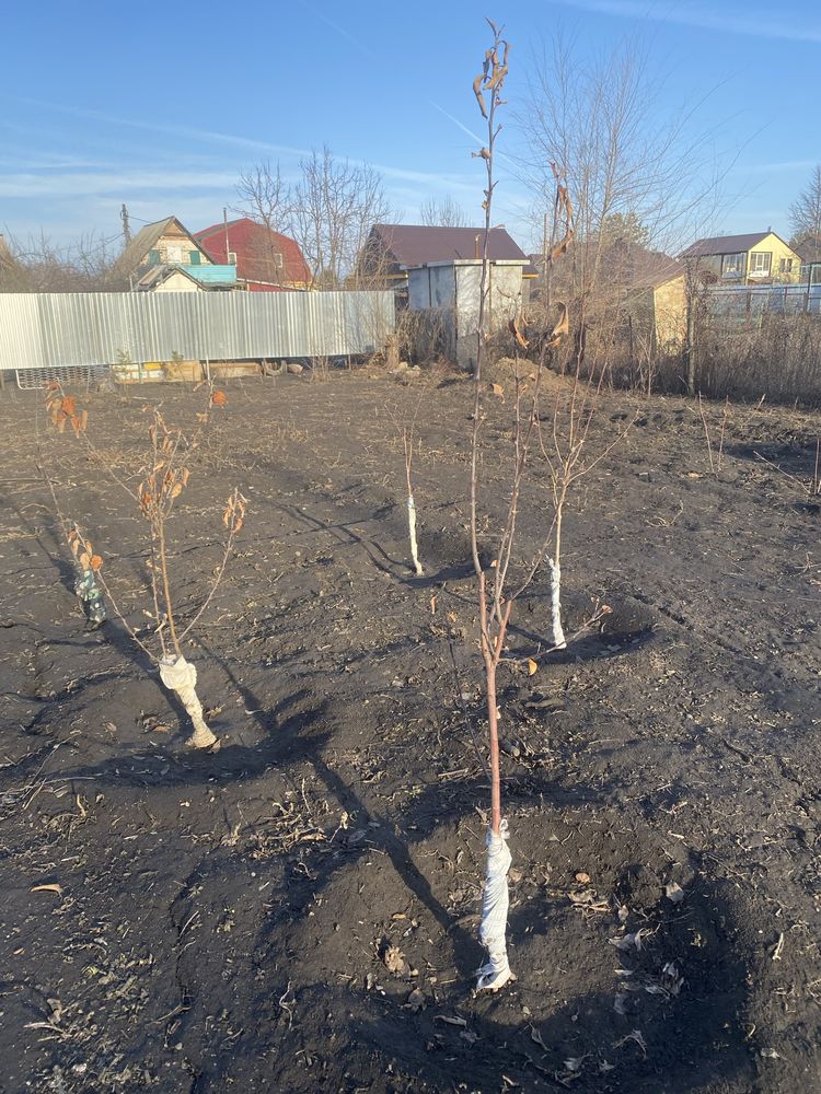 участок в городе Уральск ,ЗКО,у нас не затопила