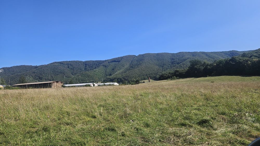 Teren intravilan zona mănăstirii Efrem cel Nou