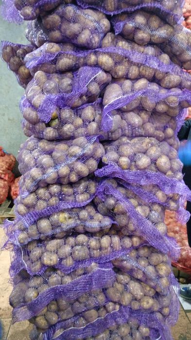 Картошка сатылады мешокпен