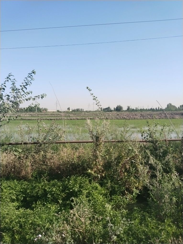 Продам 10 соток. Сурум.