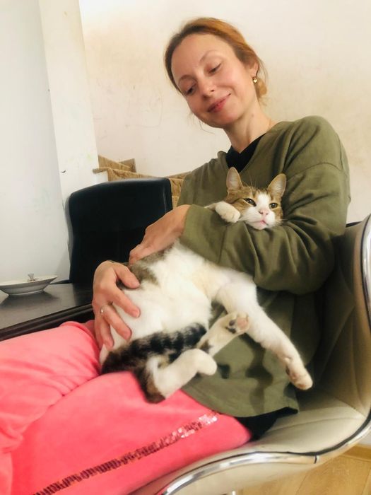 Cazare animăluțe de companie