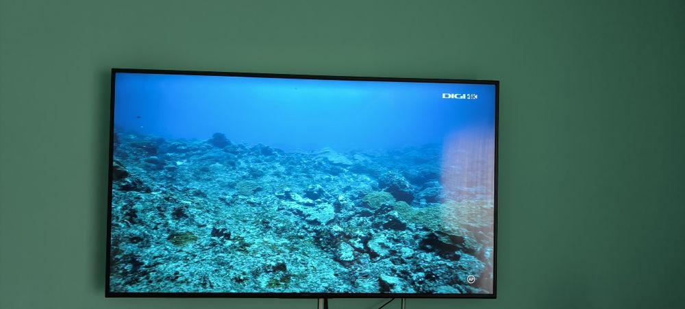 Soni Bravia 4K, 164 diagonală