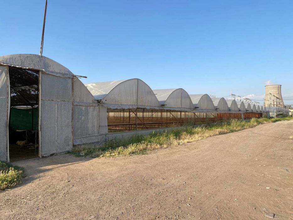 Issiqxona sotiladi, Продаётся теплица - готовый бизнес