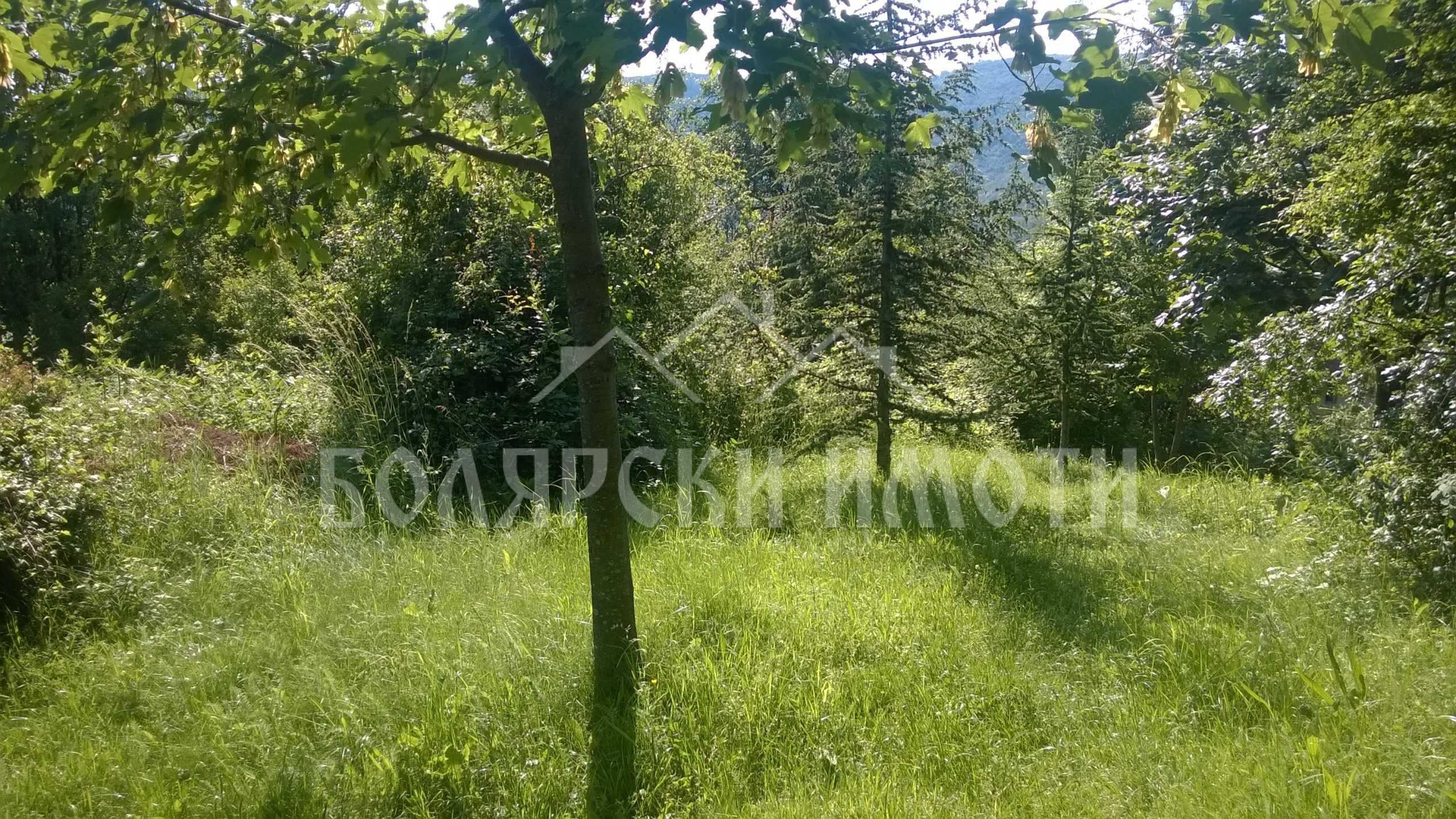 Парцел в Тревненския Балкан с уникална гледка