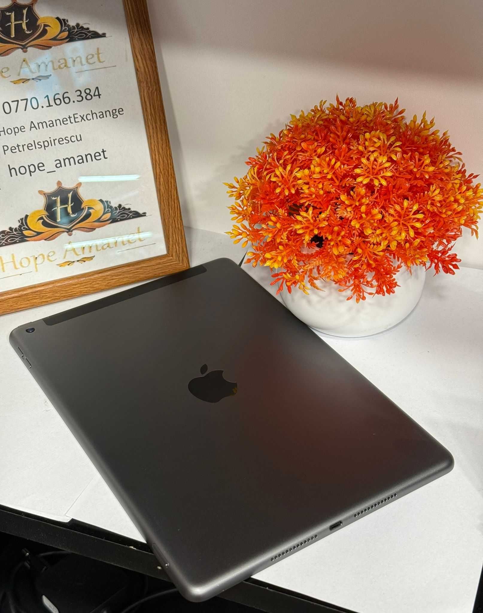 HOPE AMANET P2 - Ipad Gen 9 A2604 / 64 GB /  Wi FI + Cellular