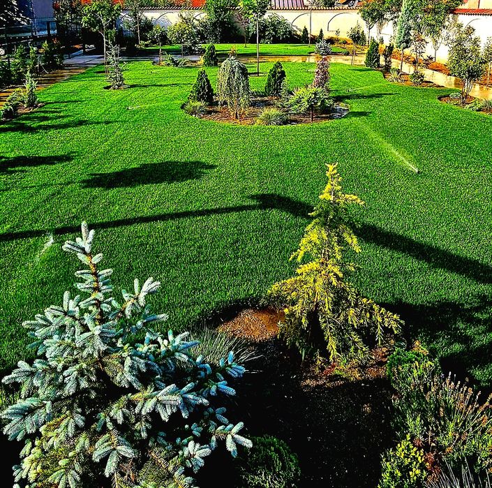 Amenajari gradini, terasa, foisoare