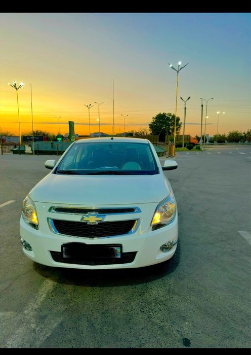 COBALT LTZ 2019 ………