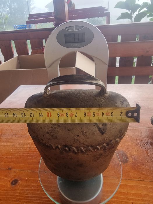 Cal din bronz si alama