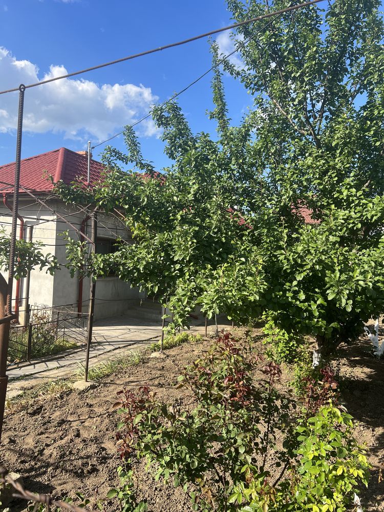 Dau in chirie casa pentru un cabinet medical sau o familie.