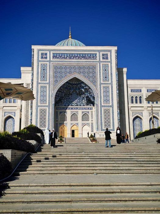 Professional turism driver - Sightseeing & travel services