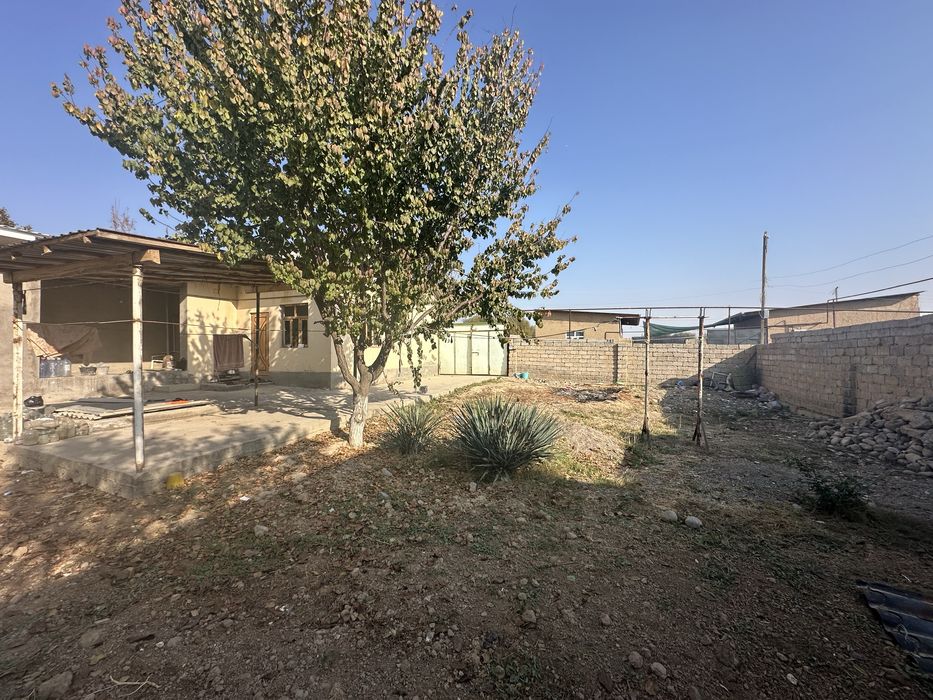 Zangiotada 6 sotix 3 xonali uy