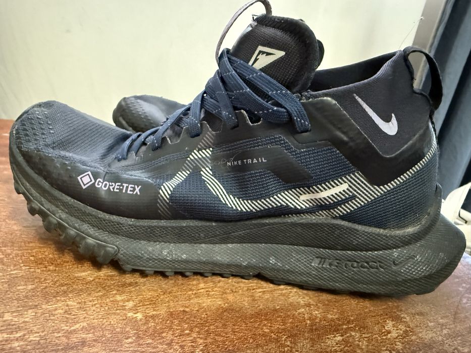 Nike Pegasus Trail 4 GORE-TEX