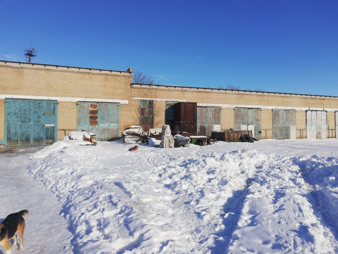 Сдам в аренду помещения свободного назначения, Другое, Склады,