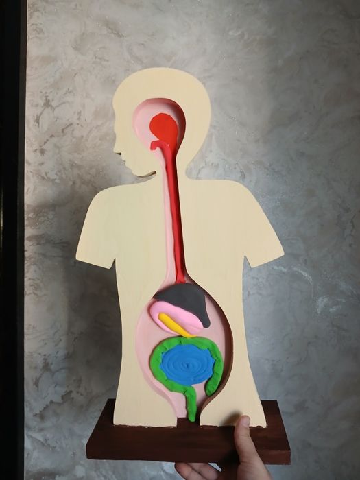 Поделки для школы и сада