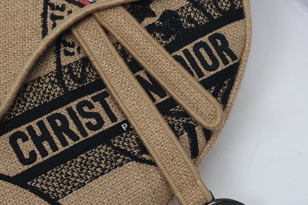 Geanta Christian Dior Saddle, tip Premium