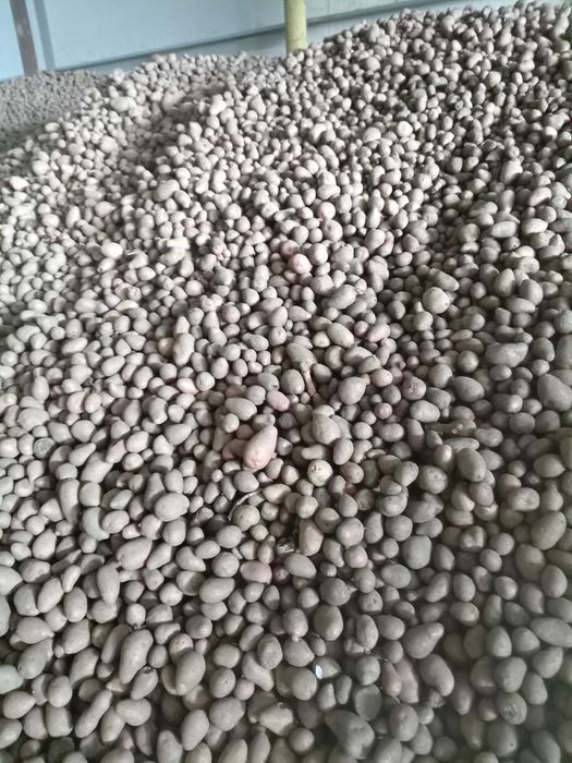 Cartofi de consum albi și roși, preț negociabil