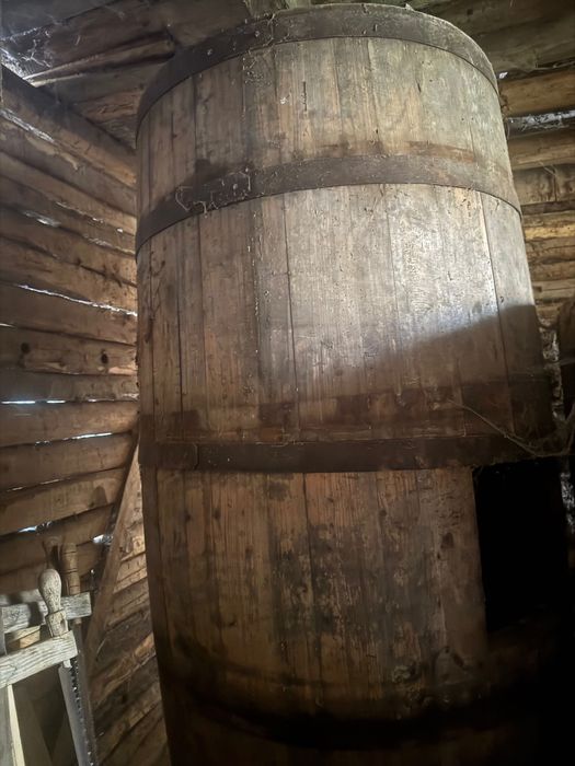 Carator borhot prune