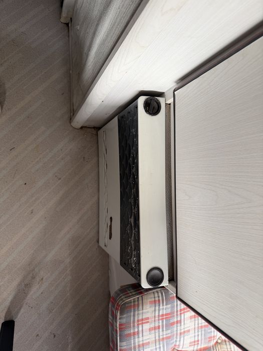 Rulota Kanus/Inmatriculata