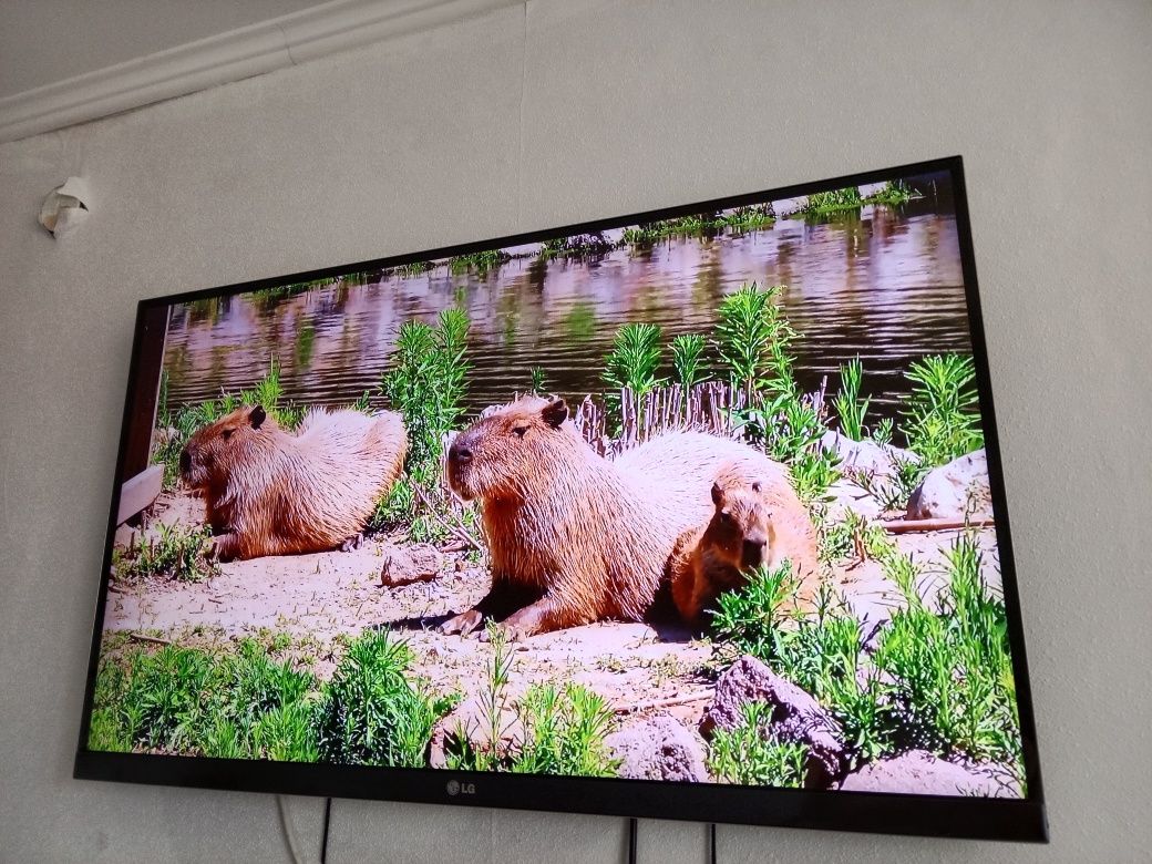Большой LG-110см.3D SMART WIFI T2