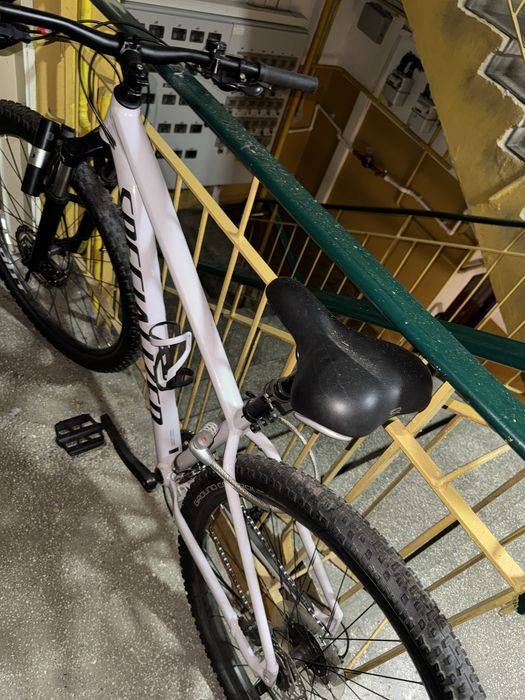 Specialized Rockhopper 29 x2,3, 2020-MTB frane hidraulice, 2x9 viteza