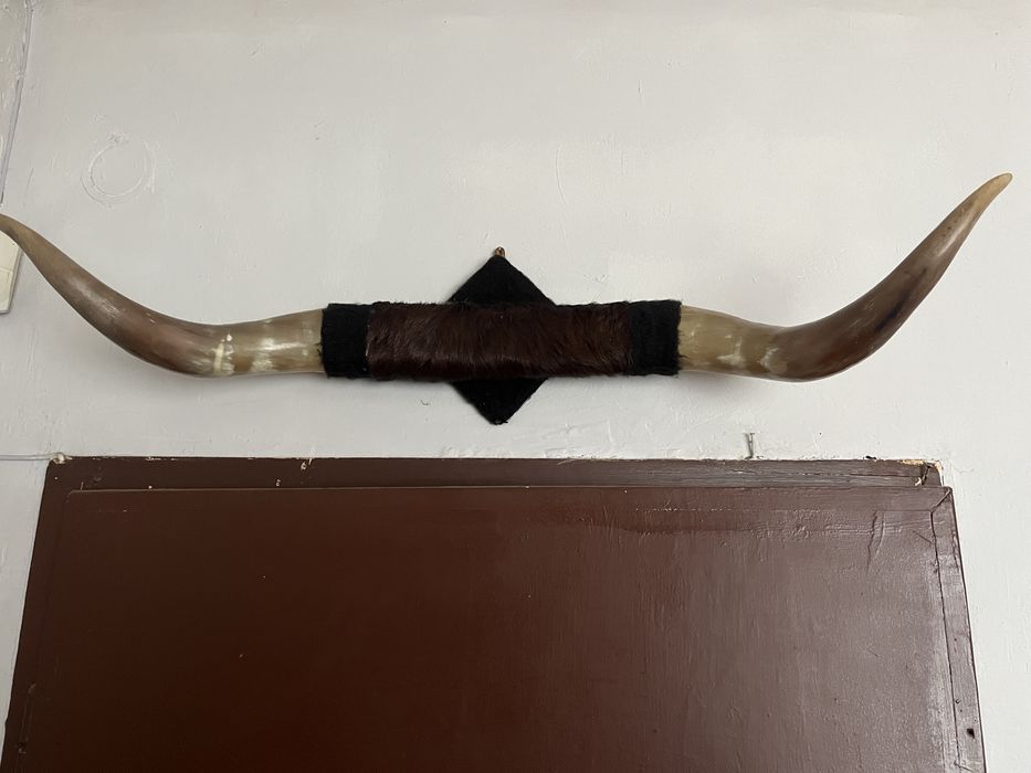 Рога от бик топ