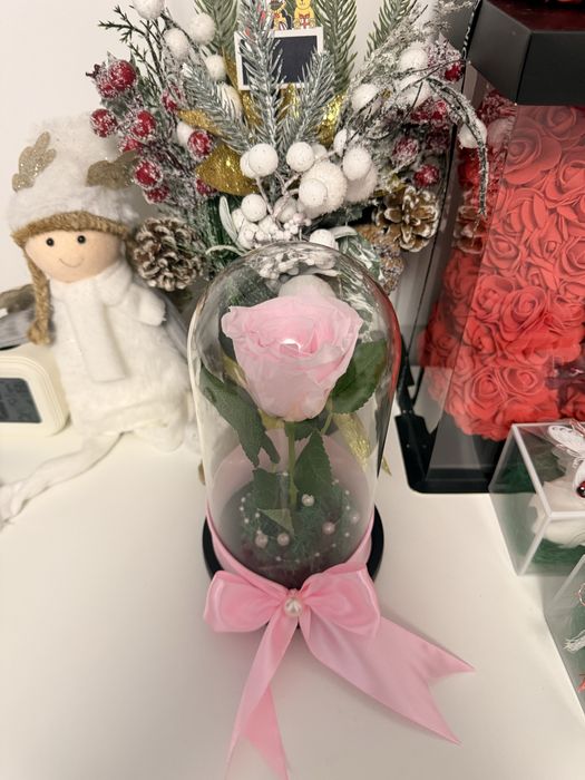 Trandafir criogenat pentru Craciun