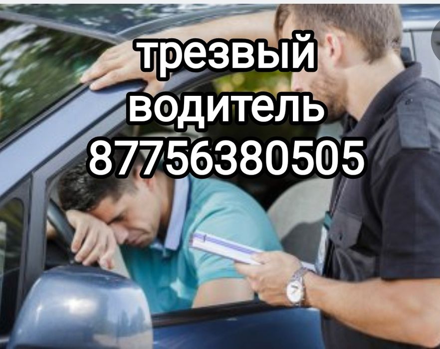 Трезвый водитель