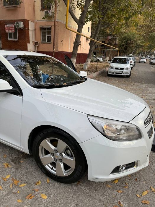 Malibu 1. Pazitsiya 2 lyuki bor 2013god