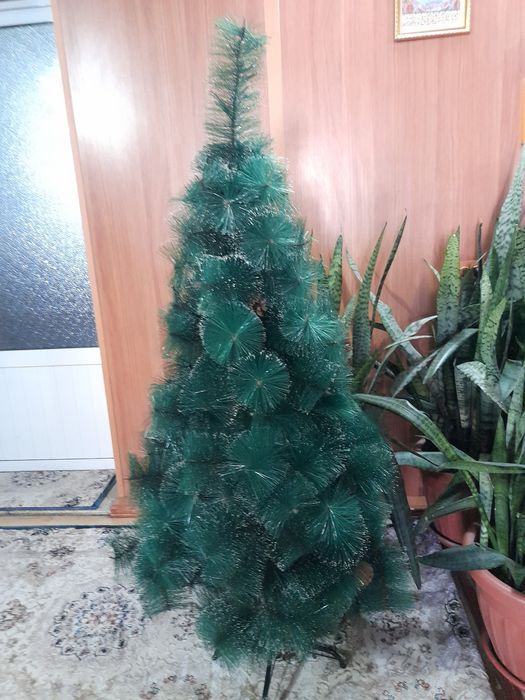 Archa 1.5m          .