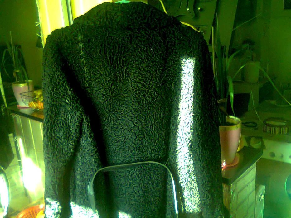 haina moderna dama din blana de miel